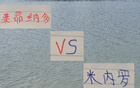 申花米內羅VS海港萊昂納多，巴西外援誰更出色？