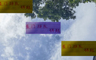 中超三強(qiáng)，國安、申花、海港，誰為豪門錦鯉？于漢超、柏楊等。