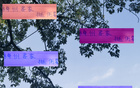 梅州客家連遭錯(cuò)判，兩年戰(zhàn)上海雙雄不利。