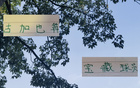 蔣內傷，大連賽，馬艾誰得機？