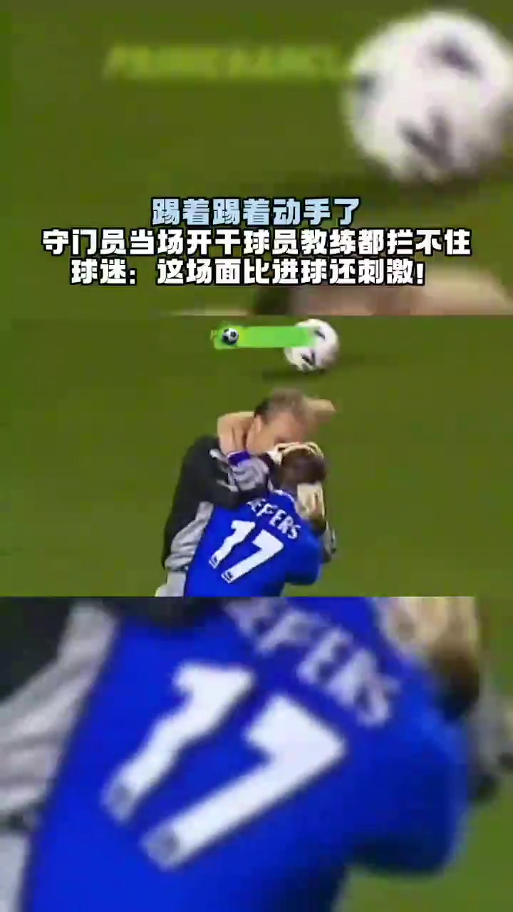 踢著踢著動手了球迷這場面比進球還刺激