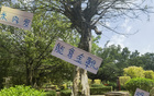 米內羅金靴，申花奪冠，范志毅95年輝煌重現。