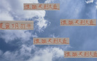 大魚浮頭，夏窗中超購人潮，申花南多，前海港奇塔。