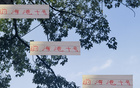 巴爾加斯助新東家保級，中超外援價值凸顯