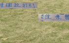 申花特謝拉傷缺，國家隊無礙，反家傷兩人。