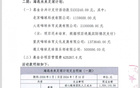 嗨球海選財報：捐款907.5萬，教練團隊支出345萬。