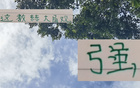 強觀大局！國安主帥輪換險致敗，多樣陣容更勝一籌。