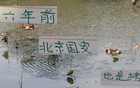 巧合？六年前北京國安領先，但奪冠非其。
