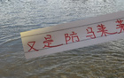面對馬萊萊，上海海港需勝大連英博，奪冠無望！