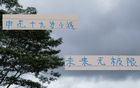 申花新星19歲國腳，聯賽三球，超越米內羅。
