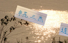 申花三杰連發(fā)，俄帥壓力倍增！