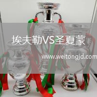 埃夫勒VS圣夏蒙