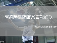 阿德萊德藍鷹VS富勒姆聯
