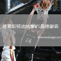德累斯頓迪納摩VS桑德豪森