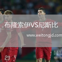 布隆索伊VS尼斯比