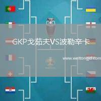 GKP戈茹夫VS波勒辛卡