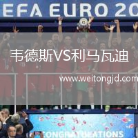 韋德斯VS利馬瓦迪