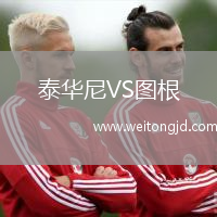 泰華尼VS圖根