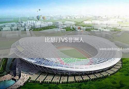 比瑟汀VS非洲人