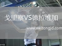 戈里察VS德拉維加