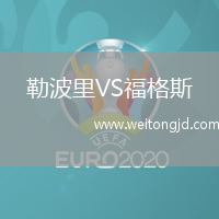 勒波里VS福格斯