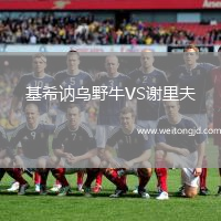 基希訥烏野牛VS謝里夫