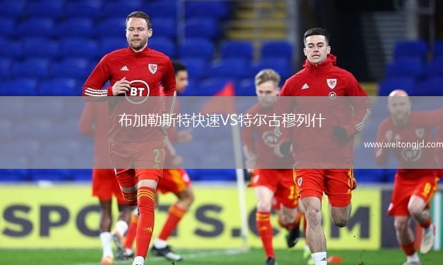 布加勒斯特快速VS特爾古穆列什