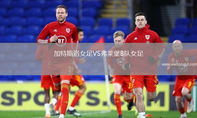 加特斯洛女足VS弗萊堡B隊女足