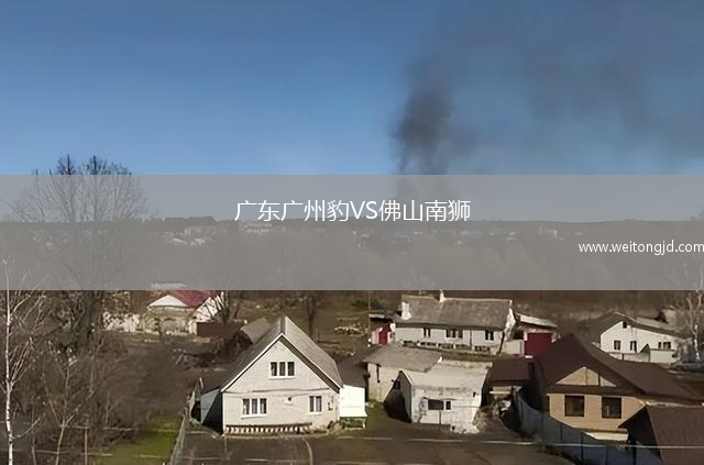 廣東廣州豹VS佛山南獅