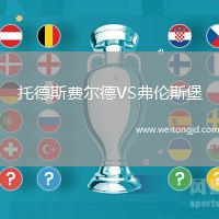 托德斯費爾德VS弗倫斯堡