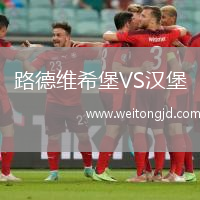 路德維希堡VS漢堡