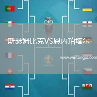 斯瑟姆比克VS恩內(nèi)珀塔爾