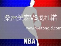 桑雷美森VS戈扎諾