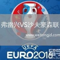 弗雷興VS沙夫豪森聯