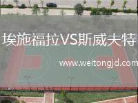 埃施福拉VS斯威夫特