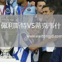 佩利斯特VS蒂克韋什