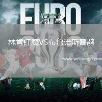 林肯紅魔VS布魯諾斯喜鵲