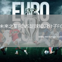 未來之星FCVS足球知識分子FC