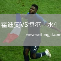 霍迪奧VS博爾古水牛