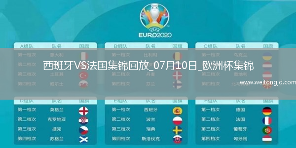 07月10日歐洲杯半決賽西班牙vs法國精彩片段