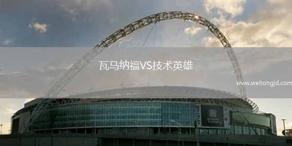 瓦馬納福VS技術英雄