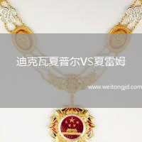 迪克瓦夏普爾VS夏雷姆