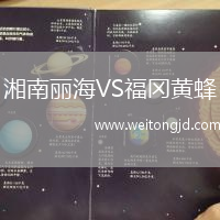 湘南麗海VS福岡黃蜂