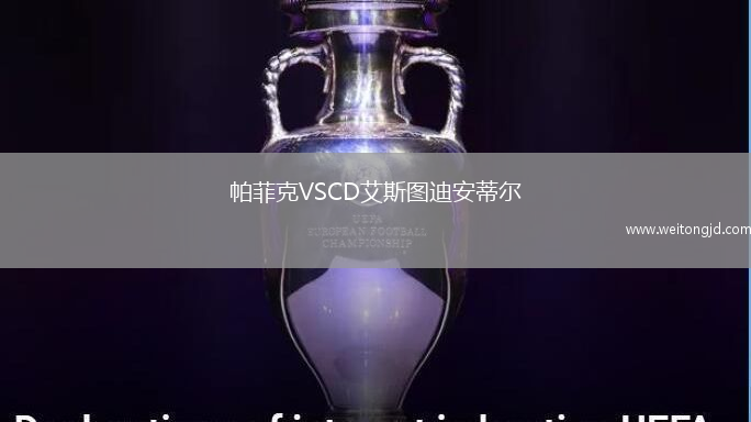 帕菲克VSCD艾斯圖迪安蒂爾