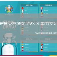 布魯克林城女足VSDC電力女足