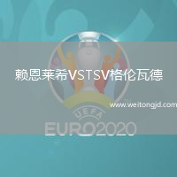 賴恩萊希VSTSV格倫瓦德