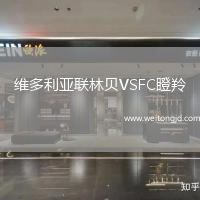 維多利亞聯(lián)林貝VSFC瞪羚