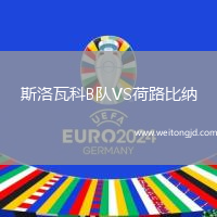 斯洛瓦科B隊VS荷路比納