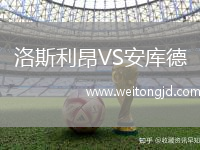 洛斯利昂VS安庫德