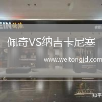 佩奇VS納吉卡尼塞